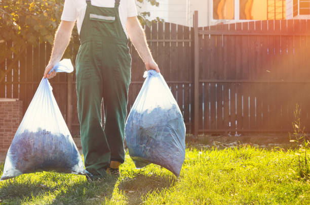 Same-Day Junk Removal Services